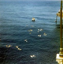 [USS CORAL SEA TRIBUTE SITE]